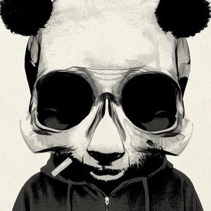 Meet your Posher, Lloyd